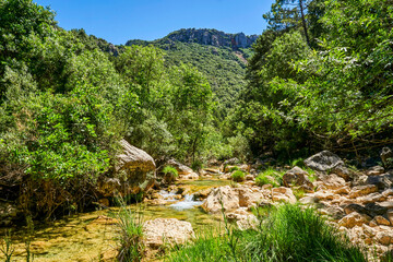 River passing in the Cerrada de Utrero in Sierra Cazorla, Segura y Las Villas Natural Park. Declared a Biosphere Reserve by UNESCO. Located in the province of Jaen, Andalusia, Spain