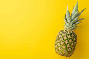 Top close up view photo of one single pineapple isolated on vivid yellow backdrop with empty space...