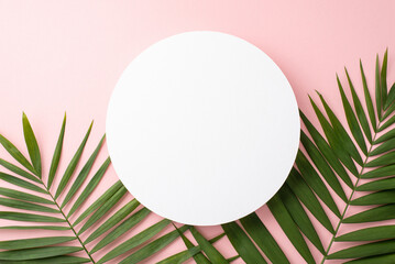 Overhead top view photo of blank white circle for advertising or branding surrounded with green palm leaves isolated on pastel pink background
