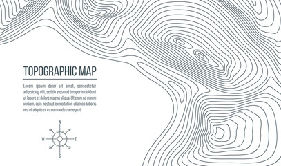 Topographic map. Grid, relief contour lines of abstract terrain, vector background of topography, cartography and geography themes. Topo map with vintage compass wind rose and isoline curves pattern