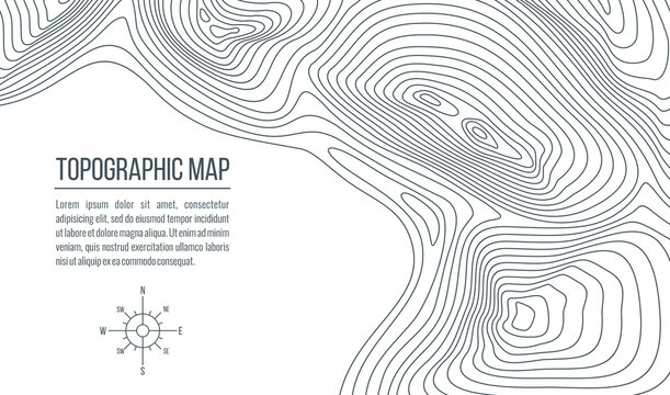 Topographic map. Grid, relief contour lines of abstract terrain, vector background of topography, cartography and geography themes. Topo map with vintage compass wind rose and isoline curves pattern