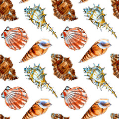 Watercolor illustration of seamless pattern with sea shells. 