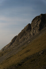 Fototapeta premium The landscape of the green mountain peak in summer. Rocky cliff.