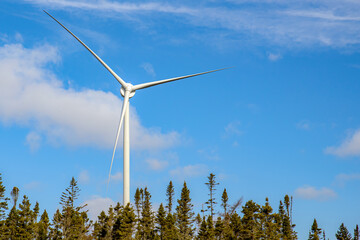 Single wind turbine standing above a wooded or forest area. Partly cloudy blue sky above.