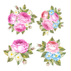 Rose elegant watercolor flower. Pink bouquet illustration