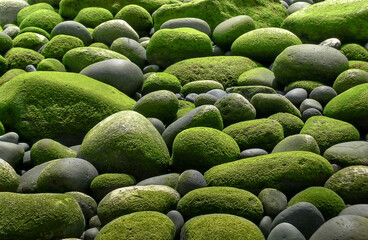 Boulder with green moss