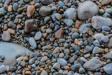 sea stones