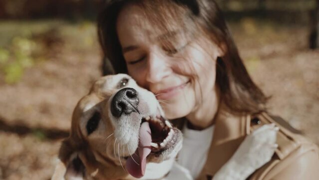 Kissing of the young woman with her favorite dog. A Long Hug with a Beagle.