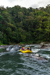 adventurous adults rafting on a raft in the middle of the jungle on the Pacuare River in Costa Rica - obrazy, fototapety, plakaty