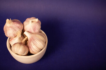 garlic on a blue background