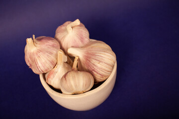 garlic on a blue background