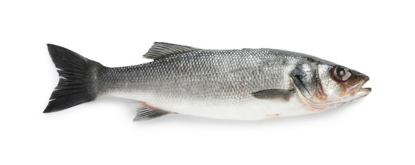 Fresh sea bass fish isolated on white, top view