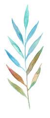 Watercolor abstract palm leaf. Hand drawn illustration