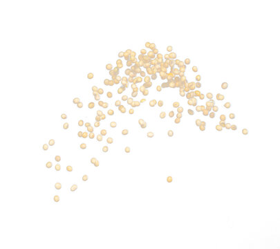 Soy Bean flying explosion, yellow grain beans explode abstract cloud fly. Beautiful complete seed pea soy bean splash in air, food object design. Selective focus freeze shot black background isolated