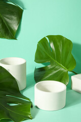 Plaster podiums and monstera leaves on turquoise background
