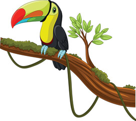 Cartoon toucan bird on a tree branch