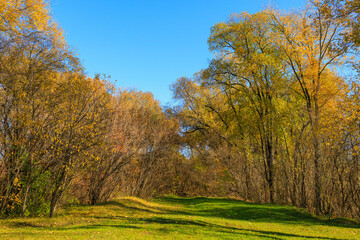 Fototapeta premium Abstract autumn seasonal background for weather forecast with selective focus and copy space
