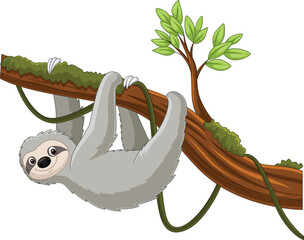 Cartoon sloth hanging on a tree branch
