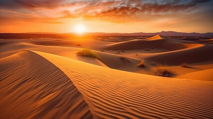 Fototapeta na wymiar Desert Scenery Golden Sand Dunes