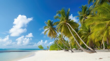 Fototapeta na wymiar Tropical beach with palm trees and bright blue water