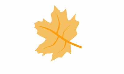 vector illustration, dry leaf isolated on white background. Dry yellow leaves.