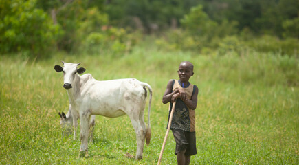 Young African Shepard boy with his cattle 