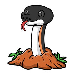 Cute gold albertisi snake cartoon out from hole