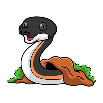 Cute gold albertisi snake cartoon out from hole