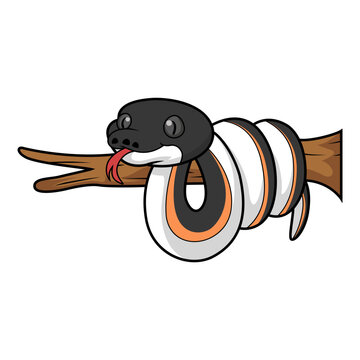 Cute gold albertisi snake cartoon on tree branch