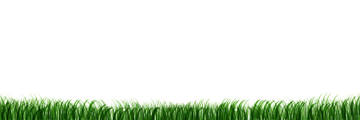 草　草原　風景　背景