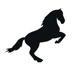 Fototapeta na wymiar Vector hand drawn dressage horse silhouette isolated on white background