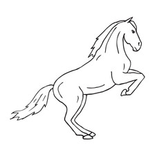 Vector hand drawn doodle sketch dressage horse isolated on white background