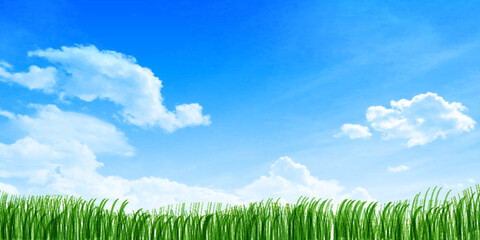 Obraz premium 空 草原 風景 背景