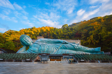 Fukuoka, Japan - Nov 21 2022: Nanzoin Temple in Fukuoka is home to a huge statue of the Reclining Buddha (Nehanzo) which claims to be the largest bronze statue in the world. - 591333829