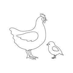 Vector flat hand drawn outline chicken and chick isolated on white background