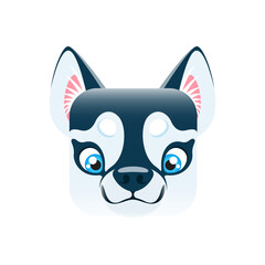 Cartoon Eskimo dog kawaii square animal face, cute puppy portrait. Isolated vector canine, domestic pet character with blue eyes. App button, icon, graphic design element