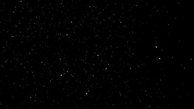 Vertical format : Falling particles simulation isolated on black background loop with alpha channel ready for overlay