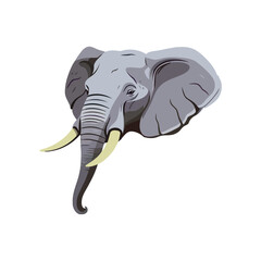 Cute elephant mascot head