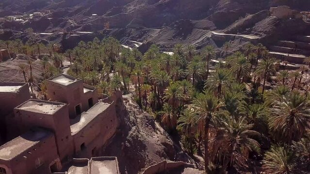 Bright green color palm leaf dates garden clay house building on the hill old city ancient houses historical village in desert in middle east Qatar Iran Morocco clay brown mud brick local agriculture