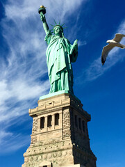 Fototapeta premium seagull flying over liberty statue