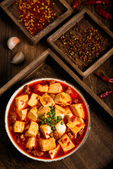 MaPo Tofu,stir-fried tofu in hot sauce,Sichuan cuisine,Chinese food,food photography