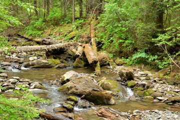 Stones and fallen tree trunks in the bed of a stormy river flowing down from the mountains through the morning summer forest.