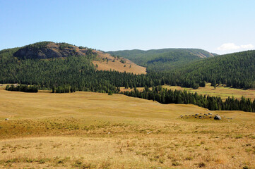 Obraz premium The remains of a small ancient mound with stones in a wide clearing at the foot of the mountains overgrown with dense coniferous forest.