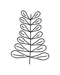 leafy twig nature and botanical