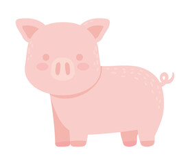 pig farm animal