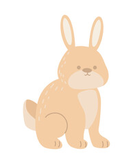 rabbit farm animal