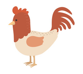 rooster farm animal