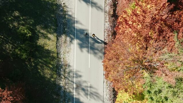 Aerial shows 2 guys walking along a road on a nice autumn day in Valbon&euml;, Albania