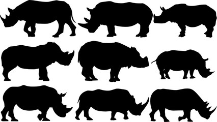 set of rhinos