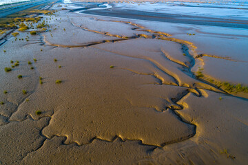 Elks Run in Dafeng Elk National Nature Reserve in Yancheng
